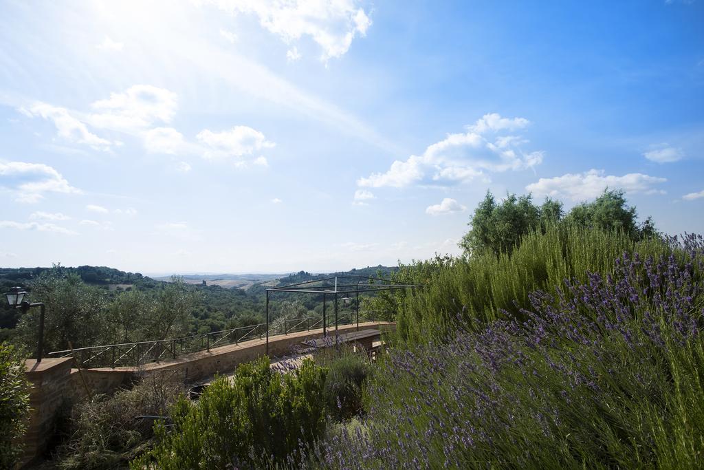 Casa Sandro A Podere Pascianella Villa Castelmuzio Phòng bức ảnh